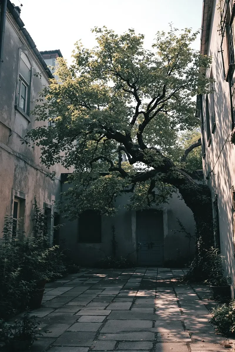 城南旧事 封面